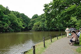 のどかな池のほとり